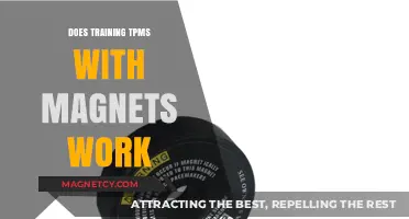 Exploring the Effectiveness of Magnet Training for TPMS