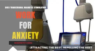 Exploring the Efficacy of TMS in Alleviating Anxiety Symptoms