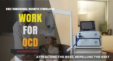Exploring the Efficacy of TMS in Alleviating OCD Symptoms