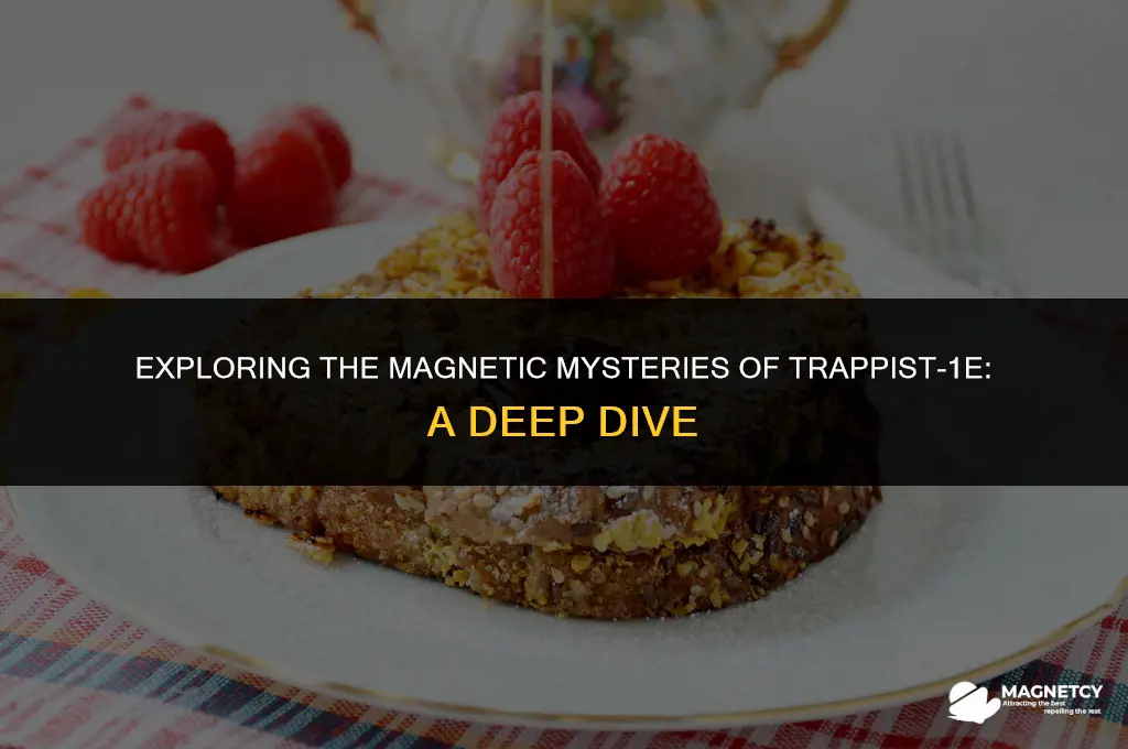 does trappist 1e have a magnetic field
