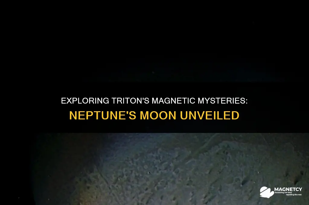 does triton have a magnetic field