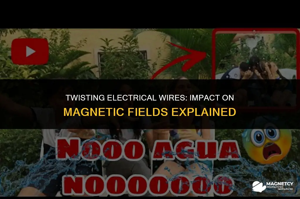 does twisting electrical wires reduces magnetic field