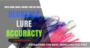 Impact of Magnet Size on Lure Accuracy: Small vs. Big Magnets