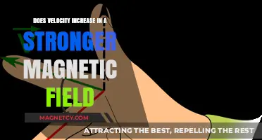 Exploring the Link Between Magnetic Field Strength and Velocity