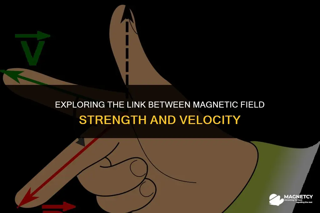 does velocity increase in a stronger magnetic field