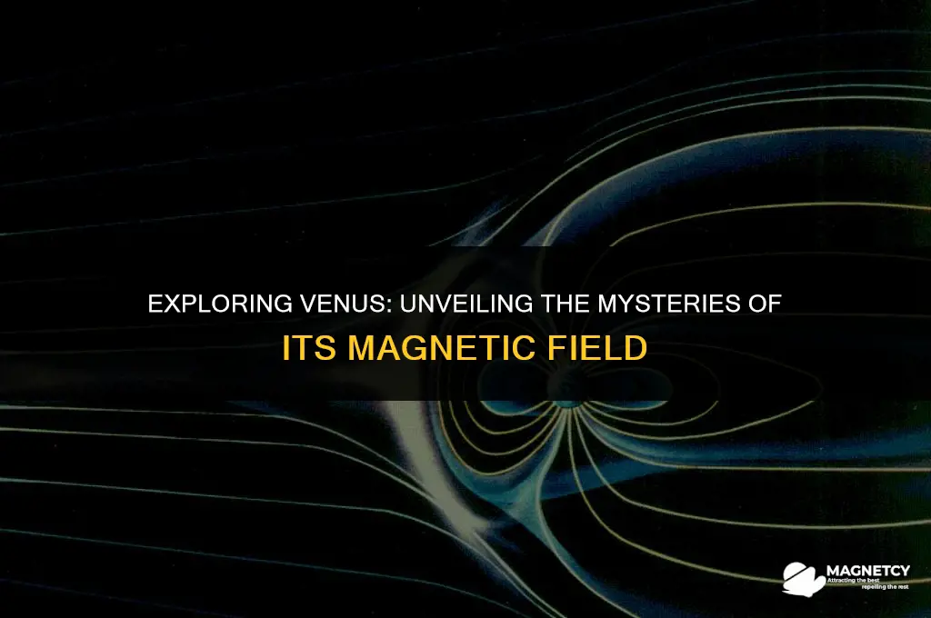 does venus have magnetic field