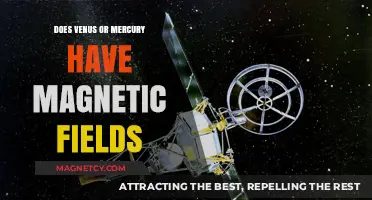 Exploring the Magnetic Mysteries of Venus and Mercury