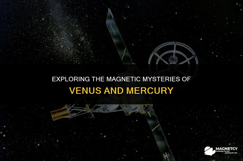 does venus or mercury have magnetic fields