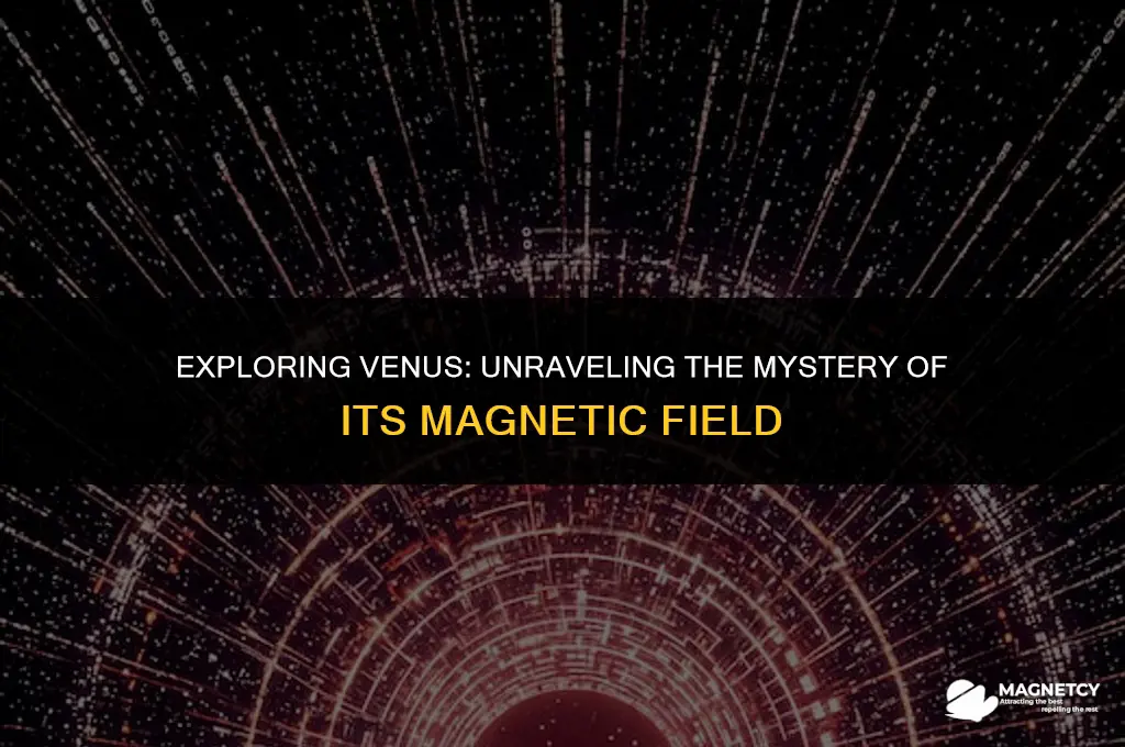 does venus retain a magnetic field