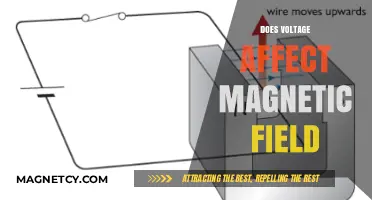Exploring the Relationship Between Voltage and Magnetic Fields