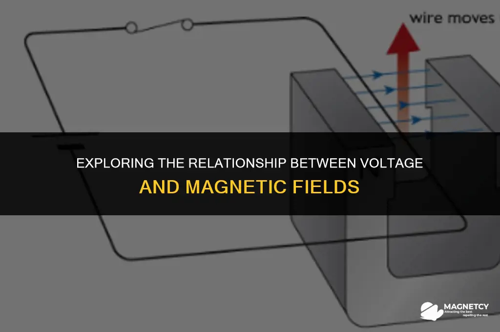 does voltage affect magnetic field