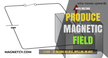 Exploring the Connection: Does Voltage Generate a Magnetic Field?