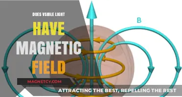 Exploring the Magnetic Nature of Visible Light: Facts and Myths