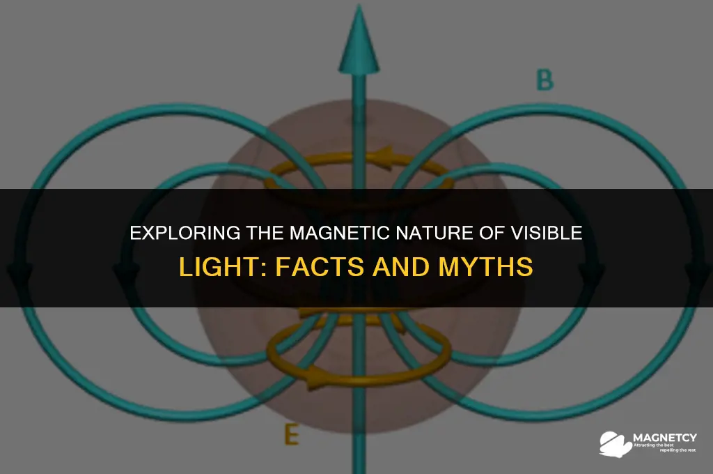 does vsible light have magnetic field