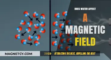 Exploring the Impact of Water on Magnetic Fields: A Comprehensive Guide