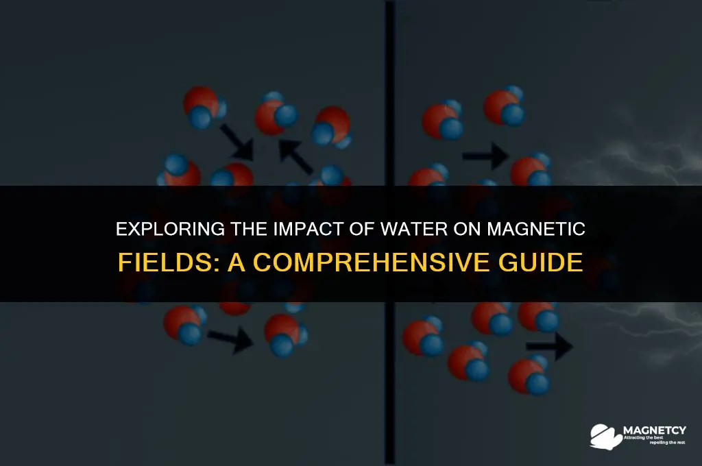 does water affect a magnetic field