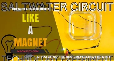 Does Water Conduct Electricity Like a Magnet? Unraveling the Myth