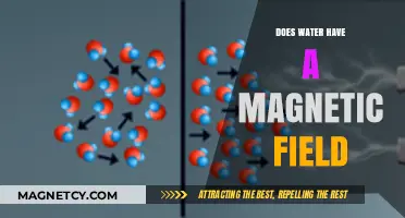 Exploring the Magnetic Mysteries of Water: Facts and Myths