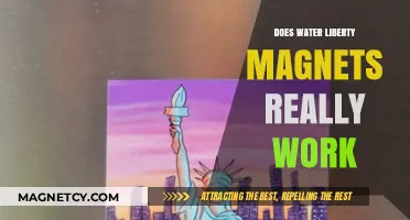 Exploring the Science Behind Water Liberty Magnets: Do They Really Work?