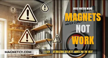 Exploring the Myth: Does Water Really Disable Magnets?