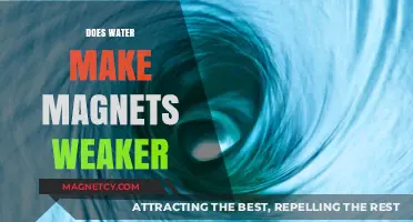 Exploring the Impact of Water on Magnetism: A Comprehensive Guide