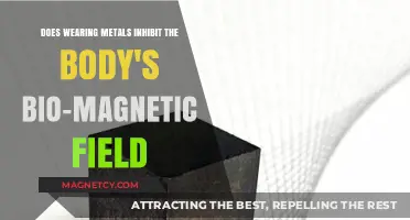 Exploring the Impact of Metal on the Body's Bio-Magnetic Field
