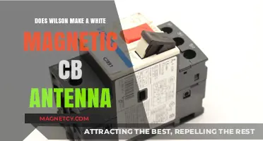Exploring Wilson's CB Antenna Options: Is There a White Magnetic Model?