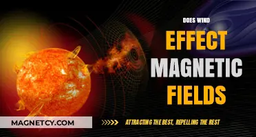 Exploring the Invisible Dance: Wind's Impact on Magnetic Fields