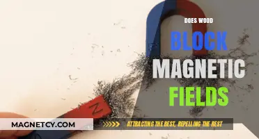 Exploring the Magnetic Shielding Properties of Wood: A Comprehensive Guide