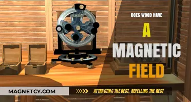 Exploring the Magnetic Mysteries of Wood: A Scientific Journey