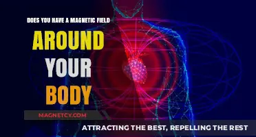 Exploring the Invisible Force: Your Body's Magnetic Field