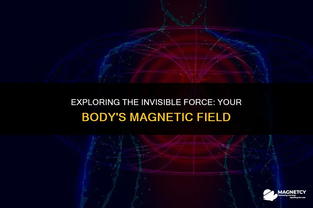 does you have a magnetic field around your body