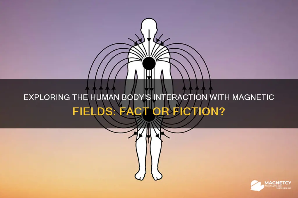 does your body use magnetic field