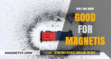 Exploring the Magnetic Properties of Zinc: Facts and Myths