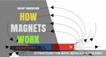 Unraveling the Mystery: How Magnets Really Work