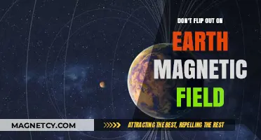 Stay Grounded: Understanding Earth's Magnetic Field Fluctuations