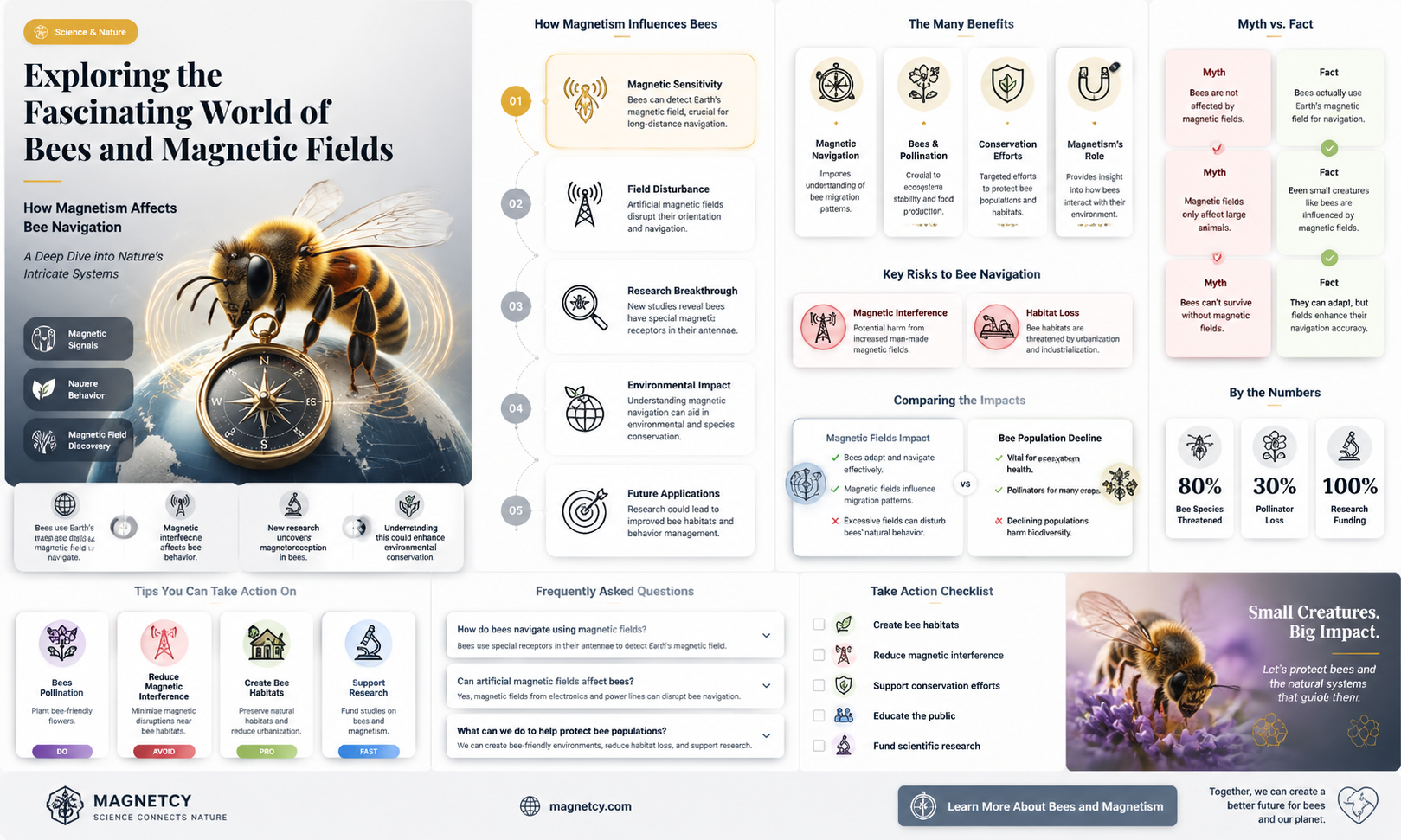 are bees sensitive to magnetic fields
