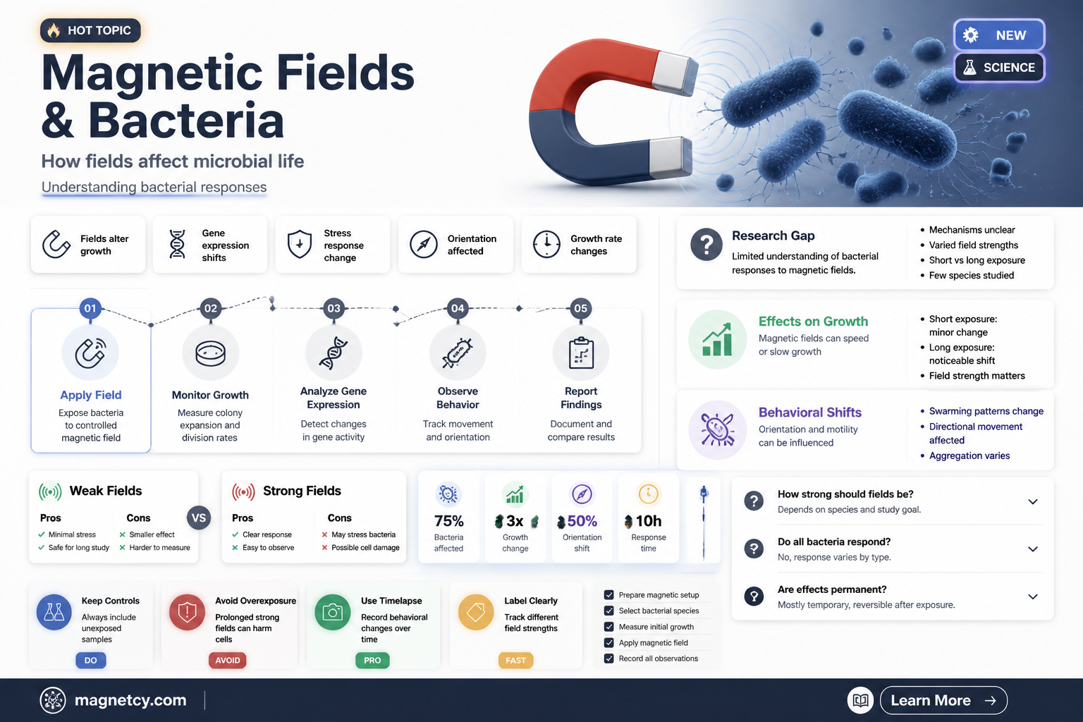 are bacteria affected by magnetic fields