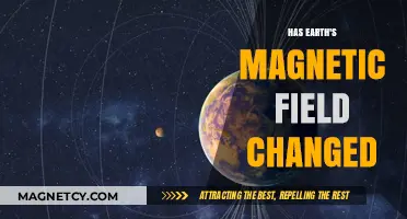 Shifts in Earth's Magnetic Field: What We Know So Far