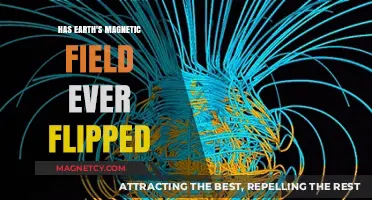 Reversals in Time: The Fascinating History of Earth's Magnetic Field