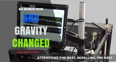 Exploring the Dynamic Nature of Magnetic Fields and Gravity