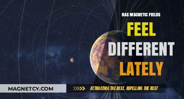 Exploring the Enigma: Have Magnetic Fields Changed Lately?