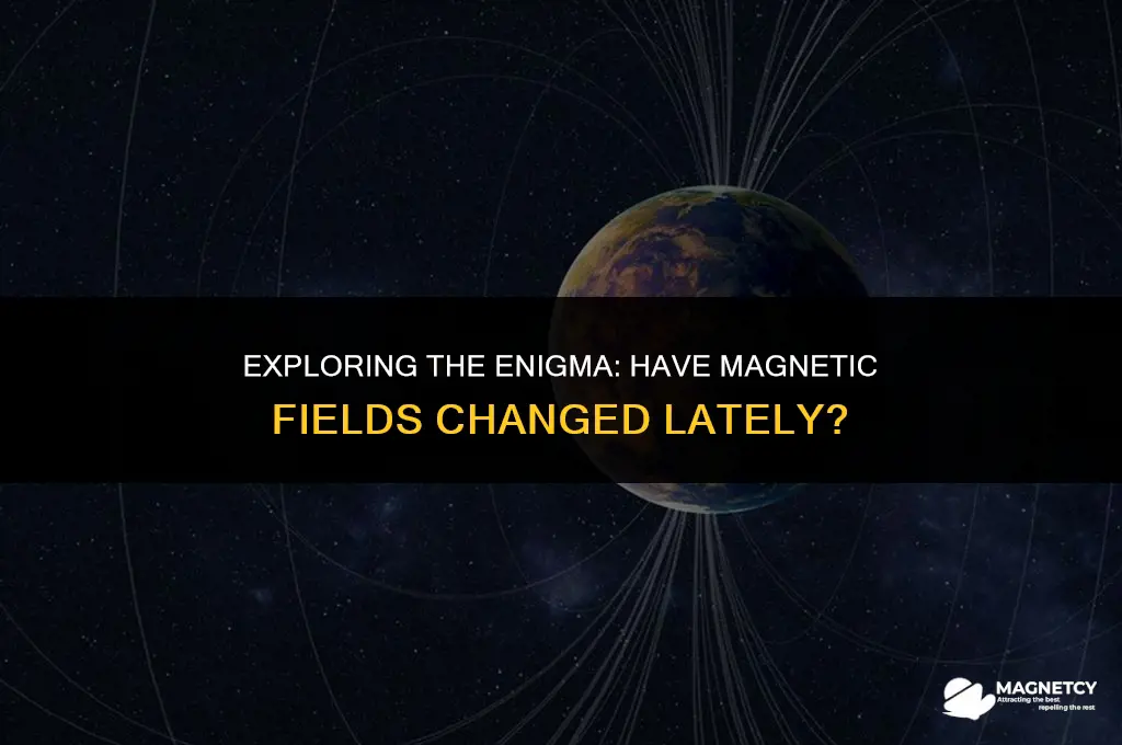 has magnetic fields feel different lately