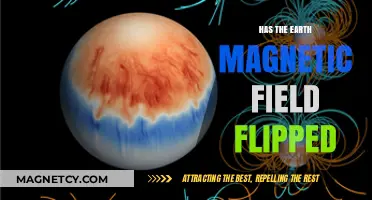 Has the Earth's Magnetic Field Flipped? Exploring the Geomagnetic Reversal