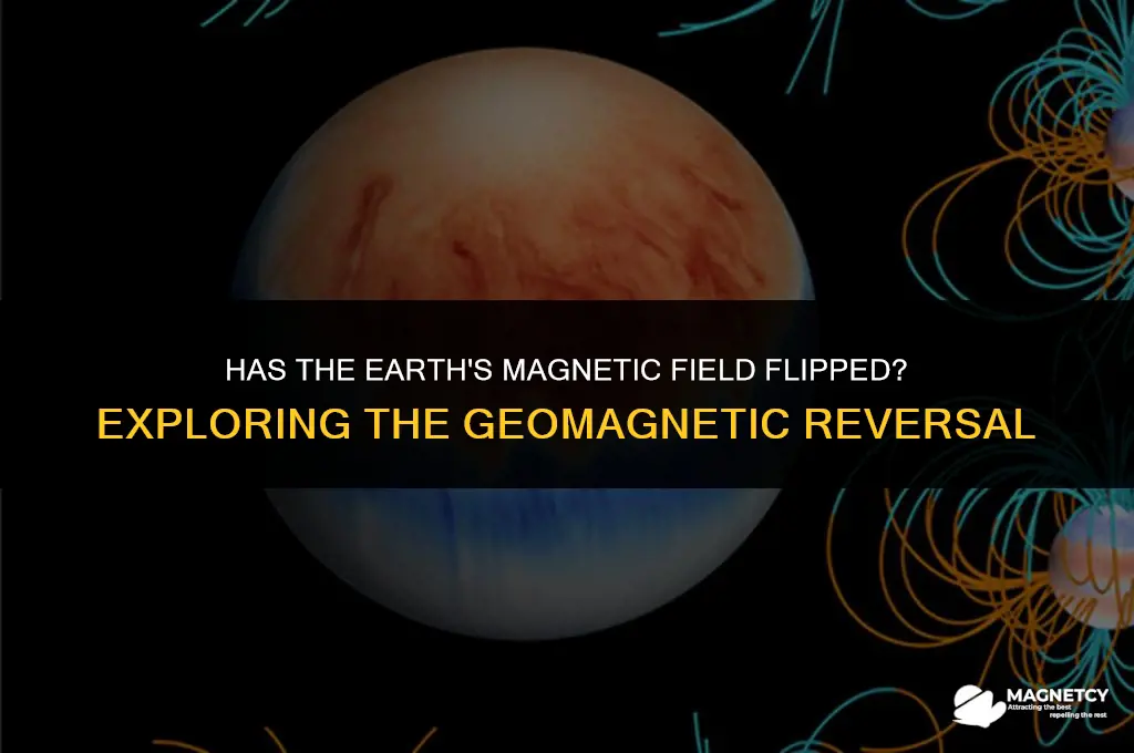 has the earth magnetic field flipped