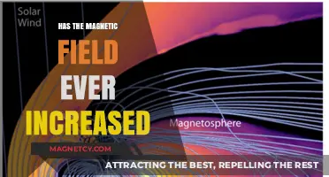 Exploring the Dynamics of Earth's Magnetic Field Strength Over Time