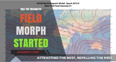 Has the Magnetic Field Morph Started: Unraveling Earth's Geomagnetic Mysteries