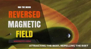 Lunar Magnetic Mystery: Has the Moon's Field Flipped?