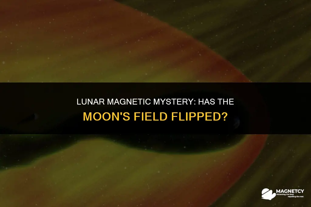 has the moon reversed magnetic field
