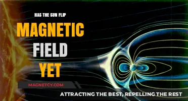 Has the Sun Flipped Its Magnetic Field Yet?